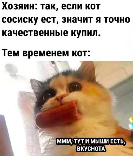 Chernyj-jumor-i-poshlye-shutki-dlja-teh-kto-v-teme-5