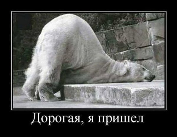 pics