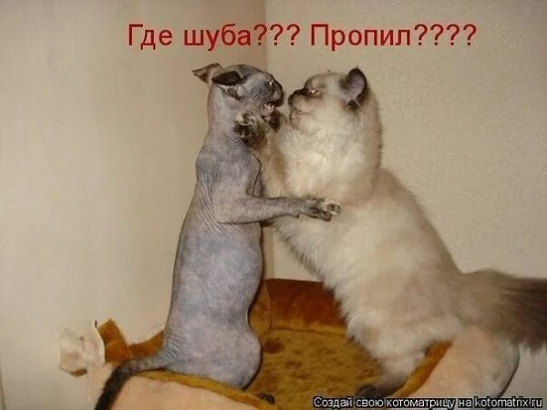 А???