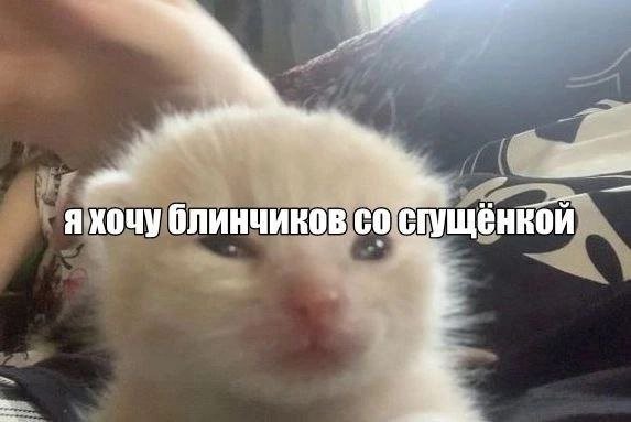picture_412696392