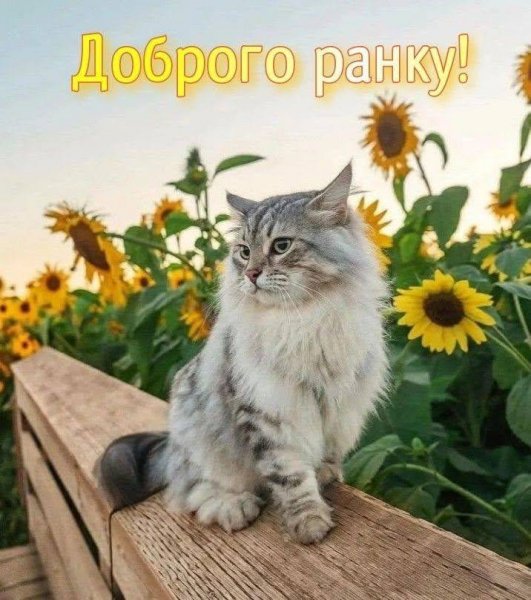 08-22
