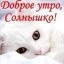 Доброе