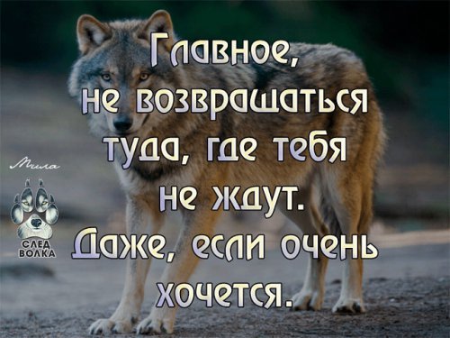 picture_215816230