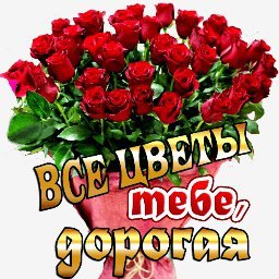 розы