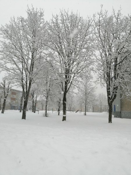 Снег