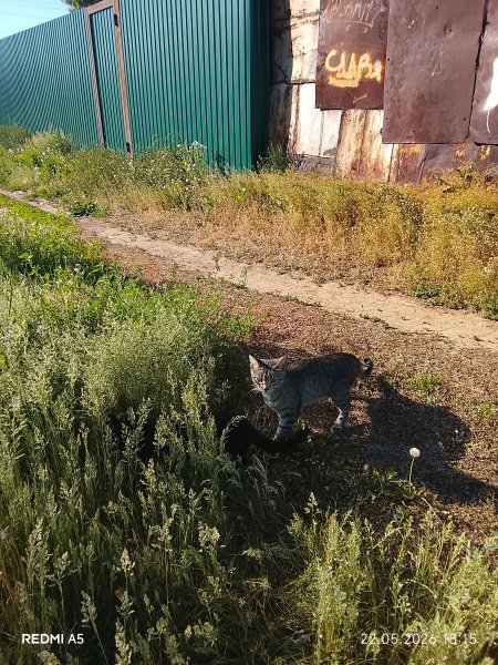 picture_413097217