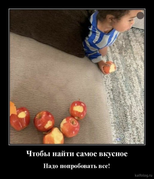 picture_379432240