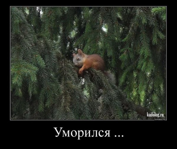 picture_400080379