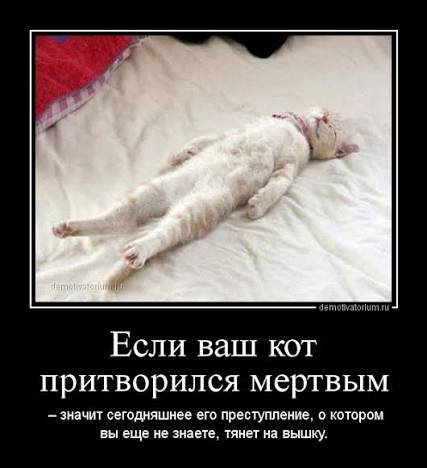picture_407715665