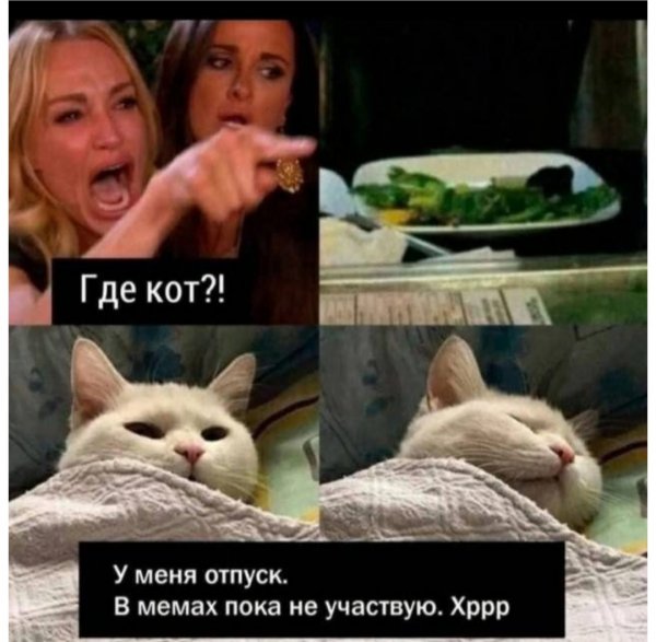 Кот отдыхает