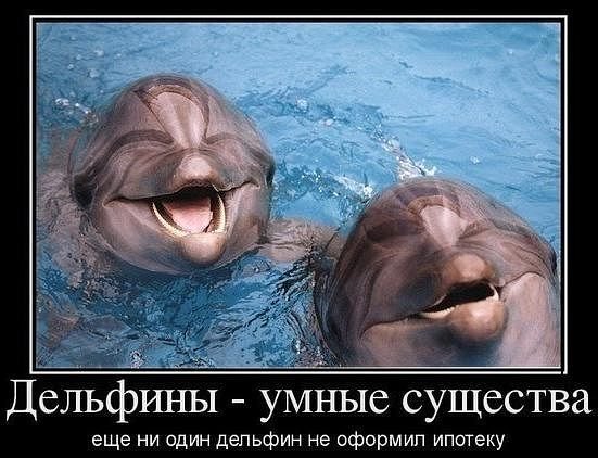 getImage(931)