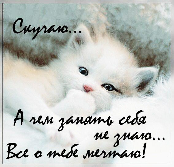 скучаю 076001
