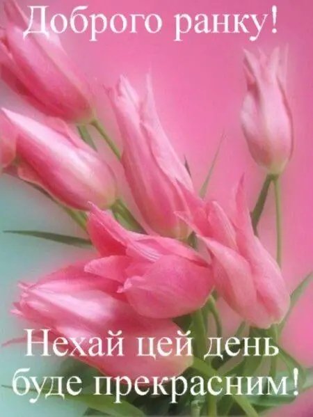 Vesna-34