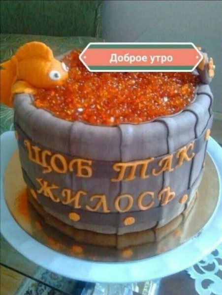 IMG-20220203-WA0003