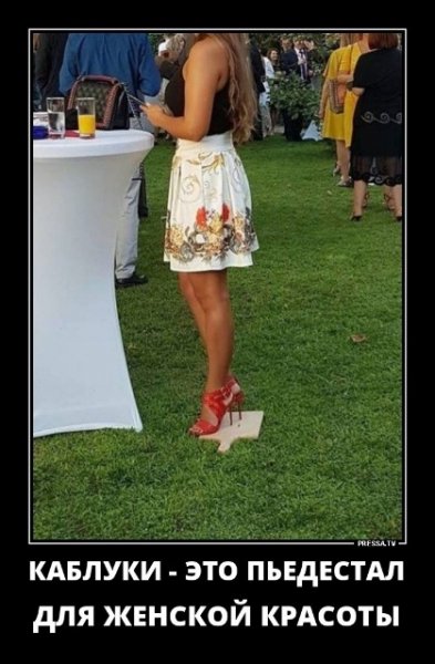 picture_240320690