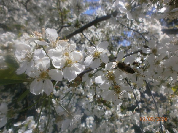 P5030013