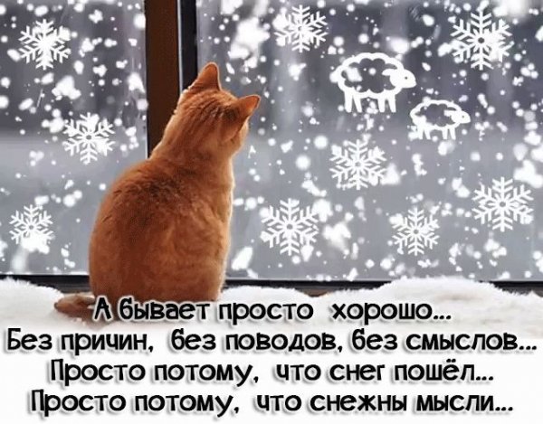 40ead9c7a646f9f1ea417a60faca9216