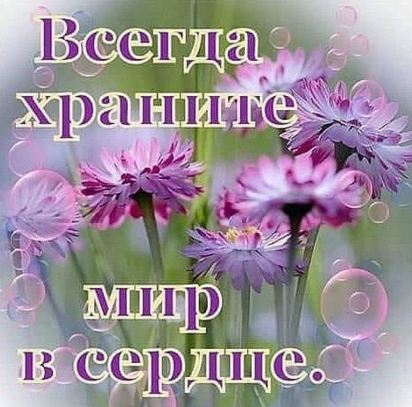 9fefaecf418f78a929362a58955de2cb