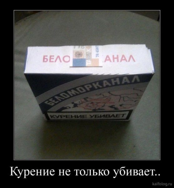 picture_379848097
