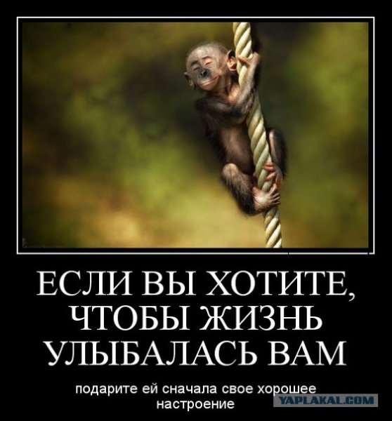 Так!