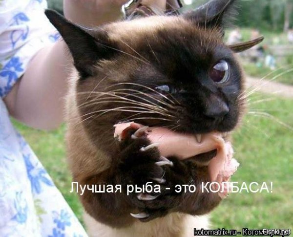 ))