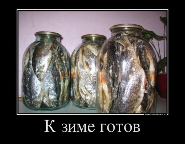 Заготовки на зиму