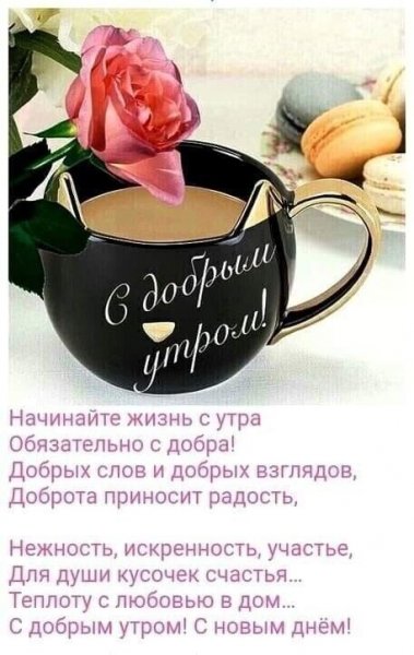 d78ed86f82fc8ea58fb39f892251e4dc