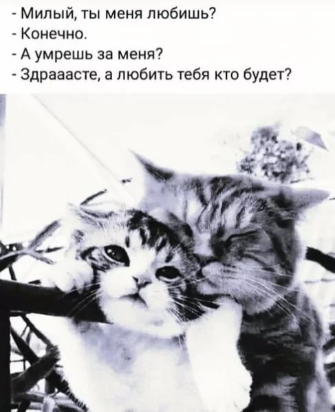 Love you