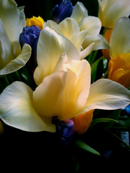 IMG 20150323 142818 20150323232503961