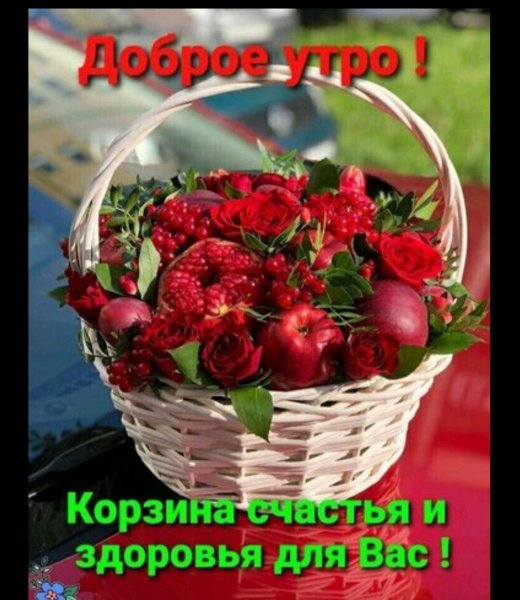 IMG-20210819-WA0000