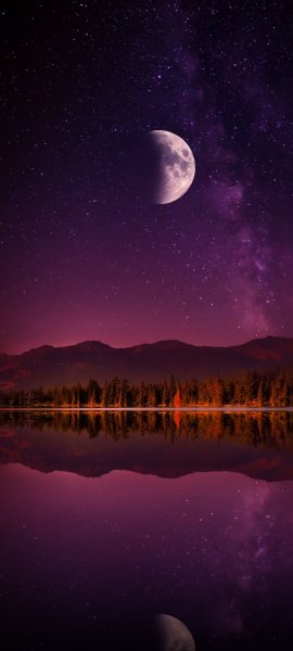Android Wallpaper (236)