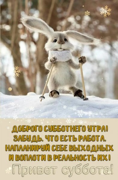 Привет суббота!