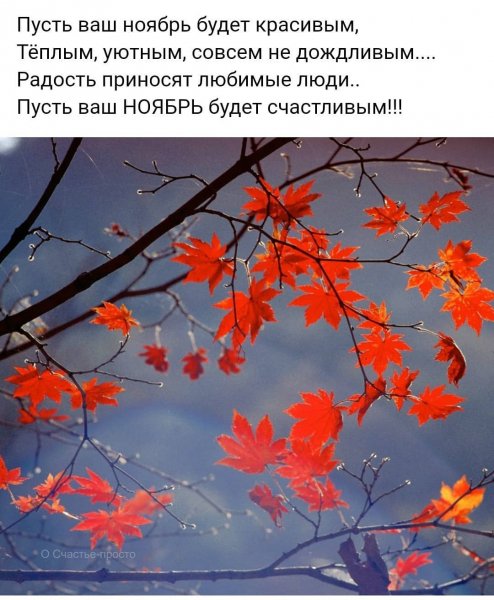 tatiana.4834 20201101 3