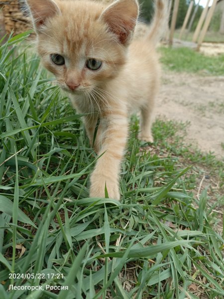 picture_363540048