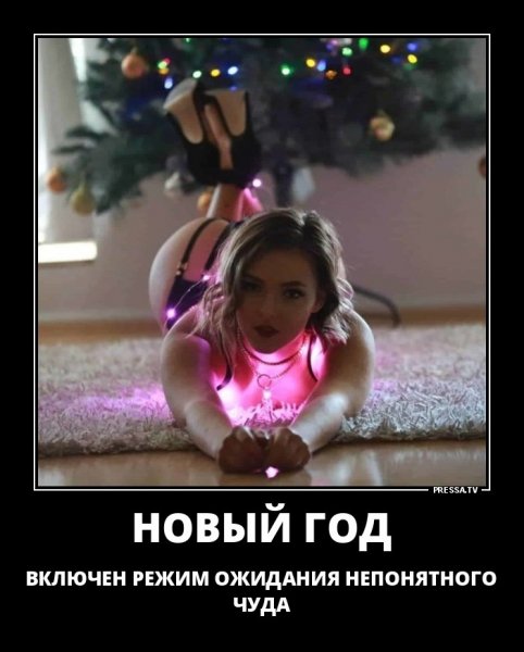 Новый год