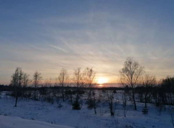Люблю зиму