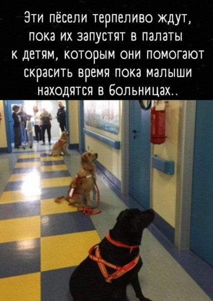FB IMG 1610552877972