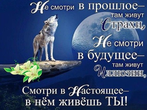 picture_212810004