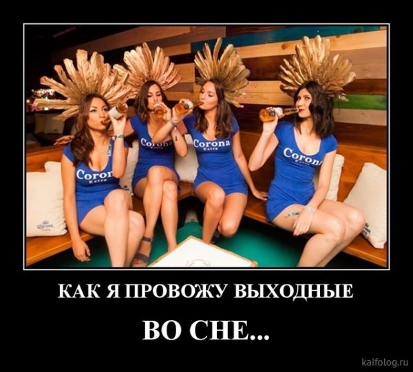 picture_378929997