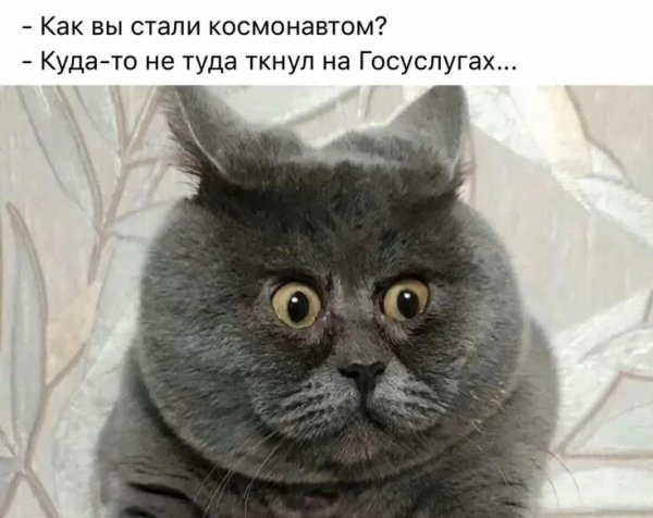 Оба - на!!!