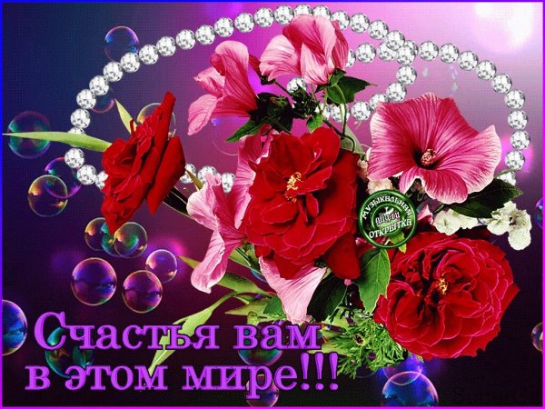 IMG 20220310 204848