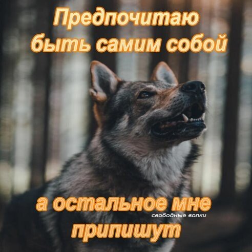 image (2) (13)