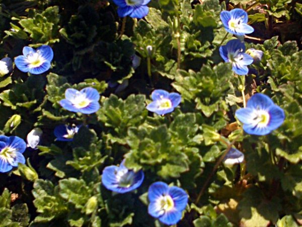 IMG 20160226 124351