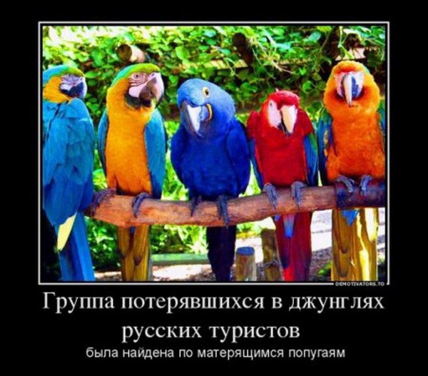 Оба - на!!!