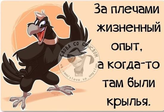 За плечами