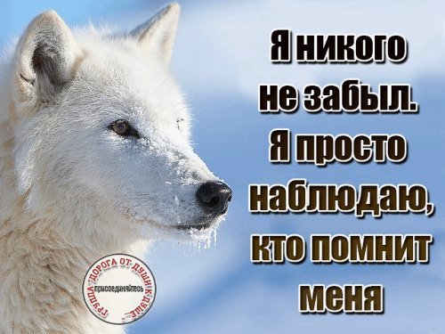 picture_213668941