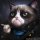 download.MorphVOXJunior Install