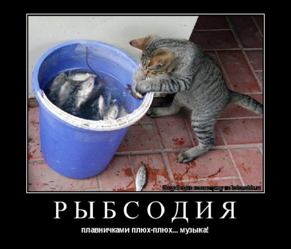 Музыка!