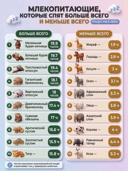 Сон животных