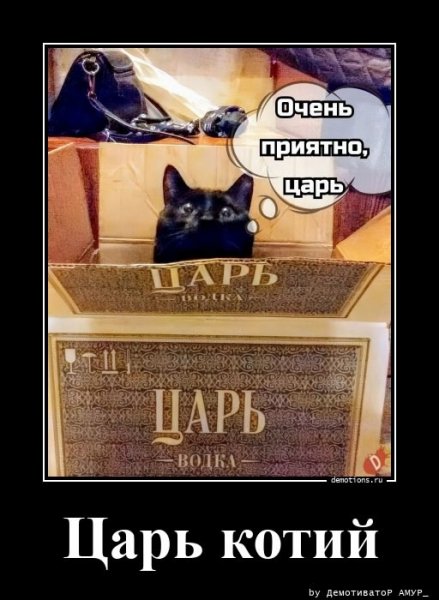 picture_384935895